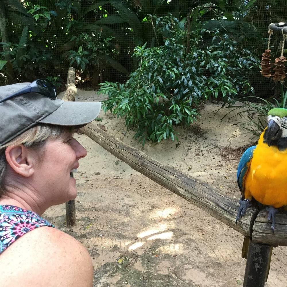 Meet your Posher, Diann